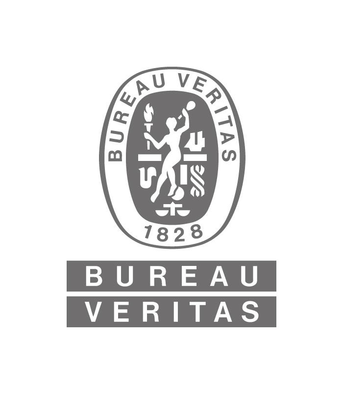 8222 700px Logo BV RGB GRAY