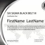 Six Sigma Black Belt Level III Certification