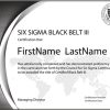Six Sigma Black Belt Certification - Level III (Self-Paced Exam Series)