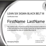 Lean Six Sigma Black Belt Certification - Level III (Standard Exam Series)