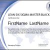 Lean Six Sigma Master Black Belt Certification (Standard Exam Series)