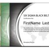 Six Sigma Self-Paced Series (White, Yellow, Green, and Black Belt Certifications)